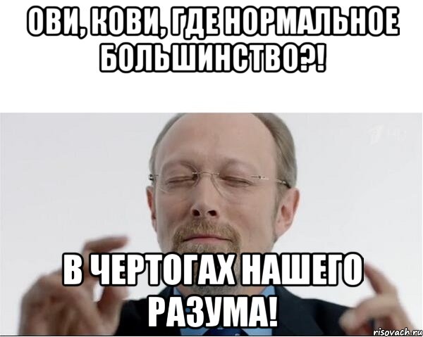 Ови, Кови, где нормальное большинство?! В чертогах нашего разума!, Мем  чертоги разума