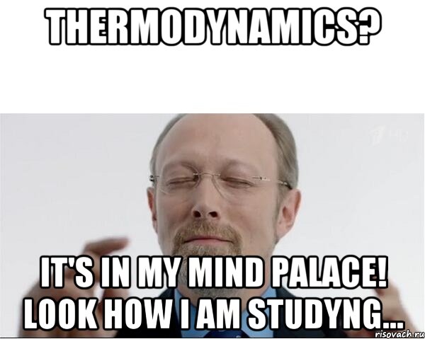 THERMODYNAMICS? IT'S IN MY MIND PALACE! LOOK HOW I AM STUDYNG..., Мем  чертоги разума