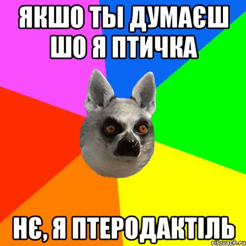 Якшо ты думаєш шо я птичка Нє, я птеродактіль