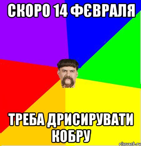 Скоро 14 фєвраля треба дрисирувати кобру