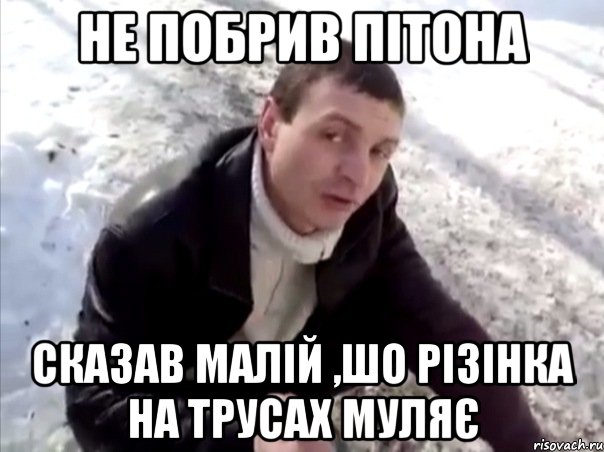 не побрив пітона сказав малій ,шо різінка на трусах муляє, Мем Четко