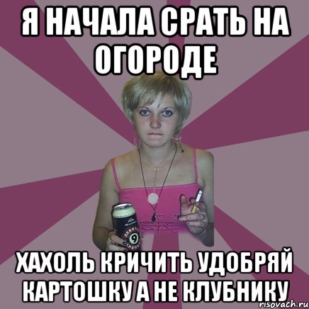 Я начала срать на огороде хахоль кричить удобряй картошку а не клубнику, Мем Чотка мала