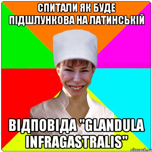 Спитали як буде підшлункова на латинській відповіда "GLANDULA INFRAGASTRALIS"