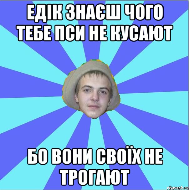 едік знаєш чого тебе пси не кусают бо вони своїх не трогают
