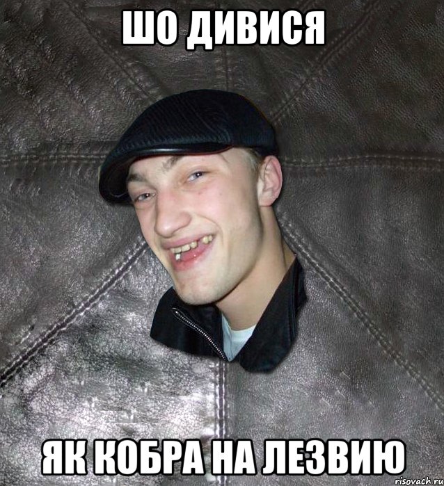 шо дивися як кобра на лезвию, Мем Тут Апасна