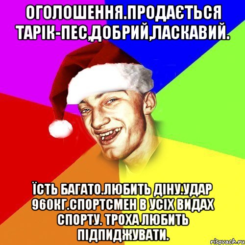 Оголошення.Продається Тарік-пес,добрий,ласкавий. Їсть багато.Любить Діну.Удар 960кг.Спортсмен в усіх видах спорту. Троха любить підпиджувати.
