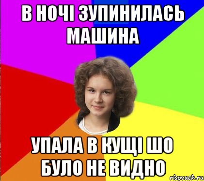 в ночі зупинилась машина упала в кущі шо було не видно