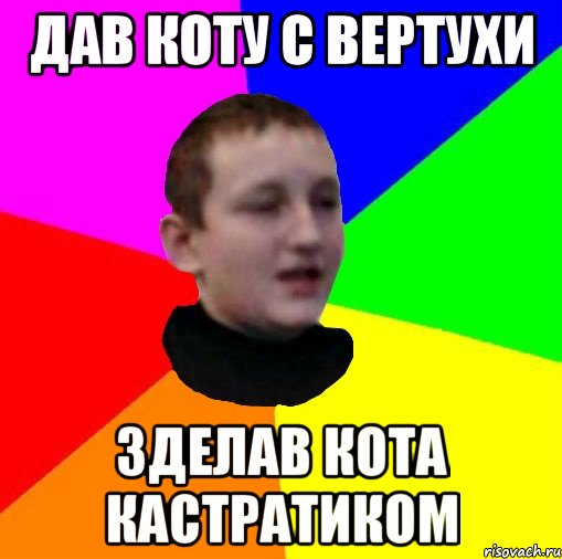 Дав коту с вертухи Зделав кота кастратиком