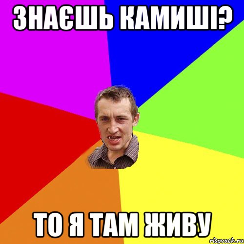 знаєшь камиші? то я там живу, Мем Чоткий паца