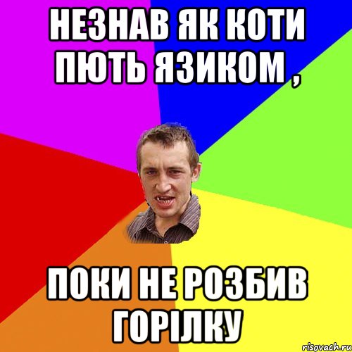 Незнав як коти пють язиком , поки не розбив горілку, Мем Чоткий паца