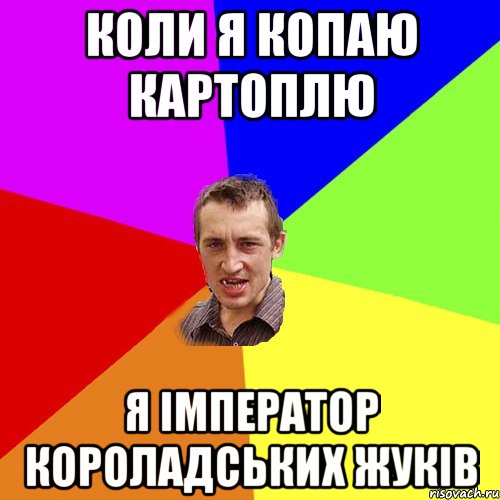 коли я копаю картоплю я імператор короладських жуків, Мем Чоткий паца