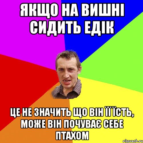 якщо на вишні сидить Едік це не значить що він її їсть, може він почуває себе птахом, Мем Чоткий паца