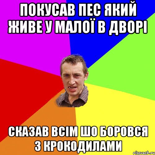 Покусав пес який живе у малої в дворі Сказав всім шо боровся з крокодилами, Мем Чоткий паца