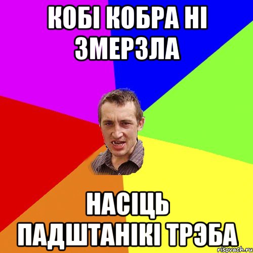 Кобi кобра нi змерзла Насiць падштанiкi трэба, Мем Чоткий паца