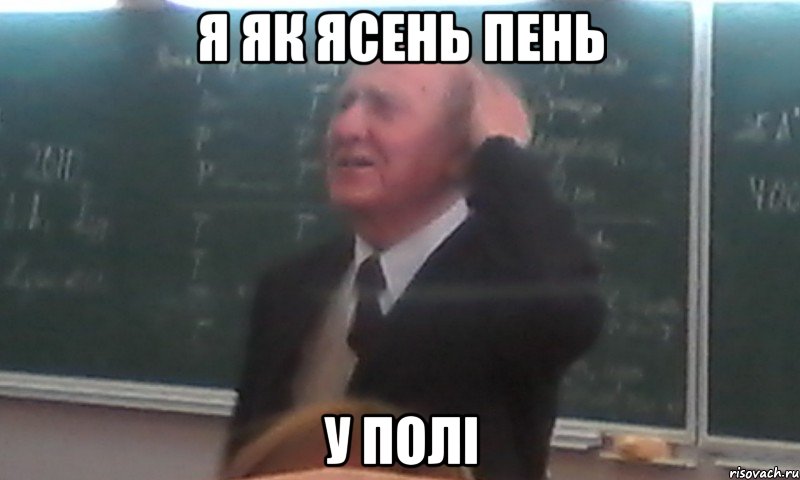 я як ясень пень у полі