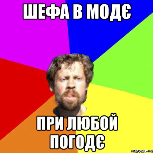 Шефа в модє при любой погодє