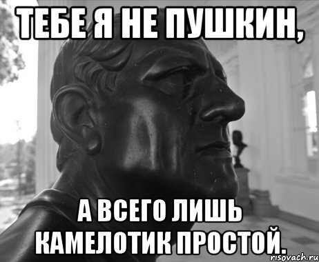 ТЕБЕ Я НЕ ПУШКИН, А ВСЕГО ЛИШЬ КАМЕЛОТИК ПРОСТОЙ.