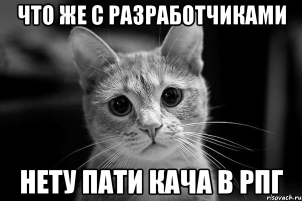 Что же с разработчиками нету пати кача в рпг