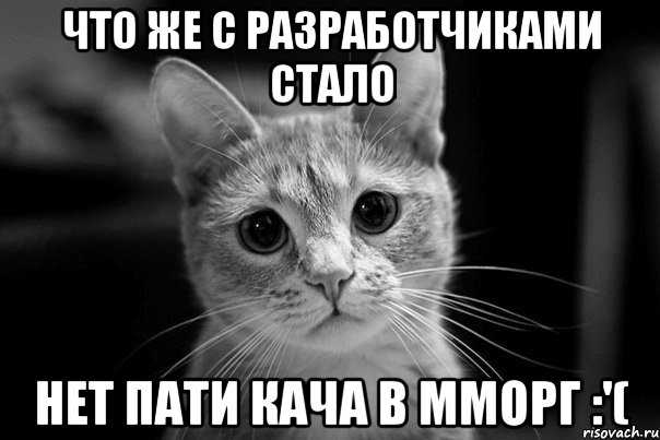 что же с разработчиками стало нет пати кача в мморг :'(