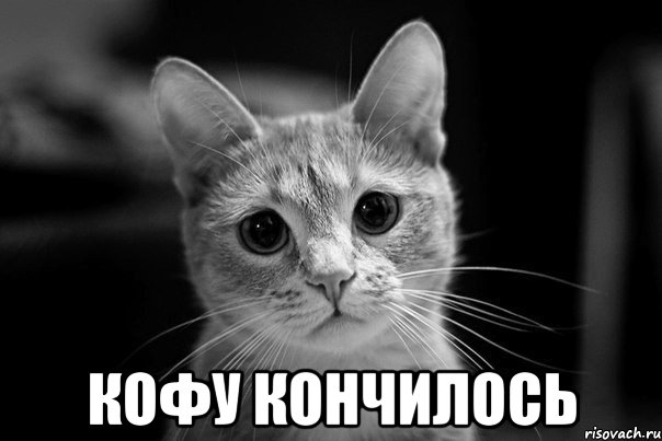  кофу кончилось