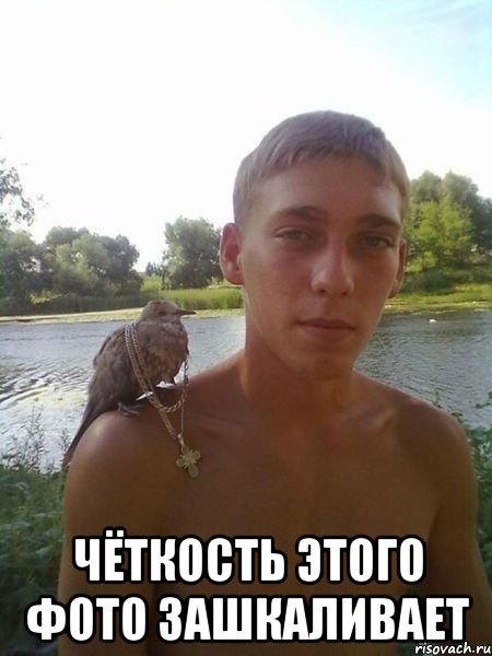  чёткость этого фото зашкаливает