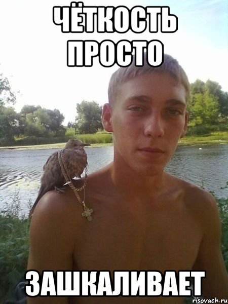 чёткость просто зашкаливает