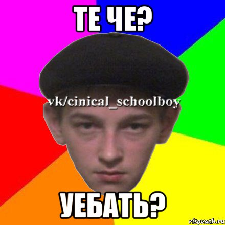 ТЕ ЧЕ? УЕБАТЬ?