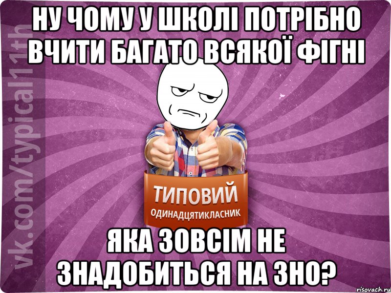 Ну чому у школі потрібно вчити багато всякої фігні яка зовсім не знадобиться на ЗНО?