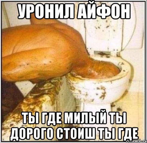 уронил айфон ты где милый ты дорого стоиш ты где, Мем Дайвер