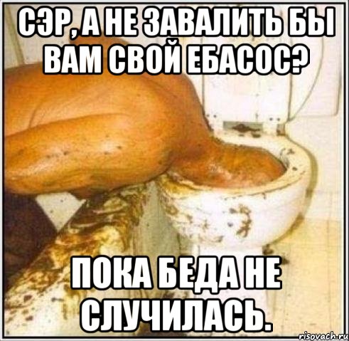 Сэр, а не завалить бы вам свой ебасос? пока беда не случилась., Мем Дайвер