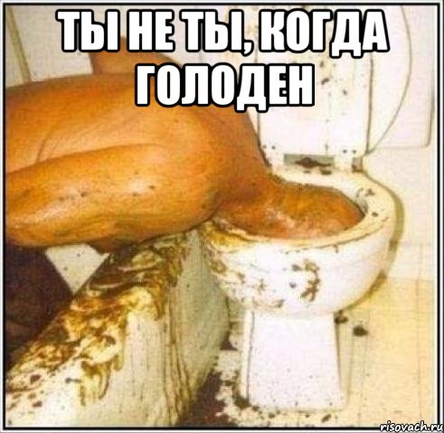 ты не ты, когда голоден , Мем Дайвер