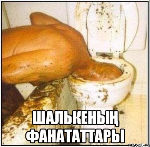  Шалькеның фанататтары, Мем Дайвер