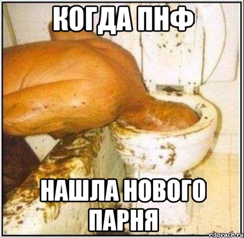 КОГДА ПНФ НАШЛА НОВОГО ПАРНЯ, Мем Дайвер
