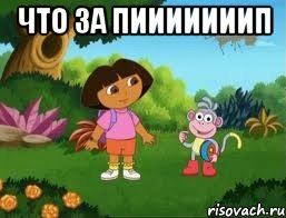 Что за пииииииип , Мем Даша следопыт