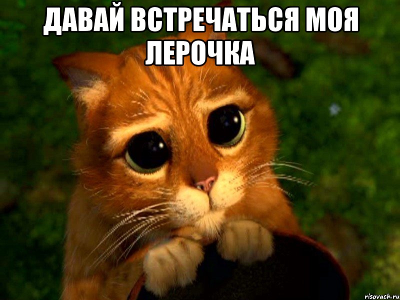 давай встречаться моя лерочка , Мем Давай встречаться