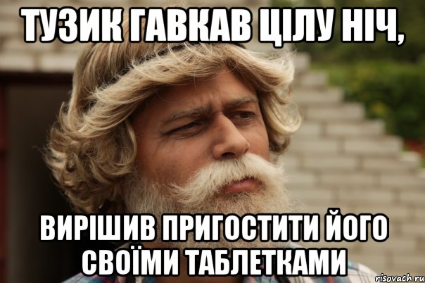 тузик гавкав цілу ніч, вирішив пригостити його своїми таблетками, Мем дд