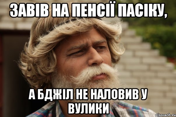 завів на пенсії пасіку, а бджіл не наловив у вулики, Мем дд