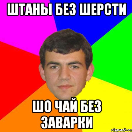 штаны без шерсти шо чай без заварки