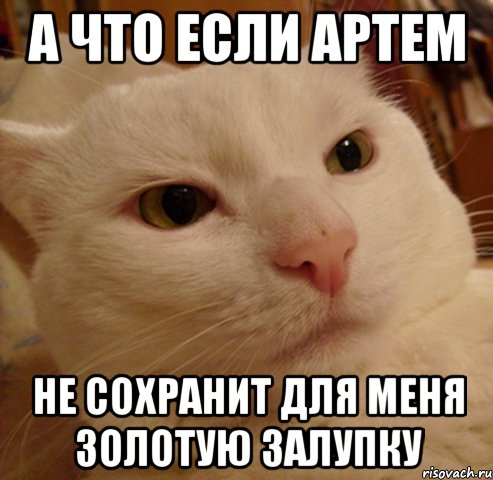 А что если Артем не сохранит для меня золотую залупку, Мем Дерзкий котэ