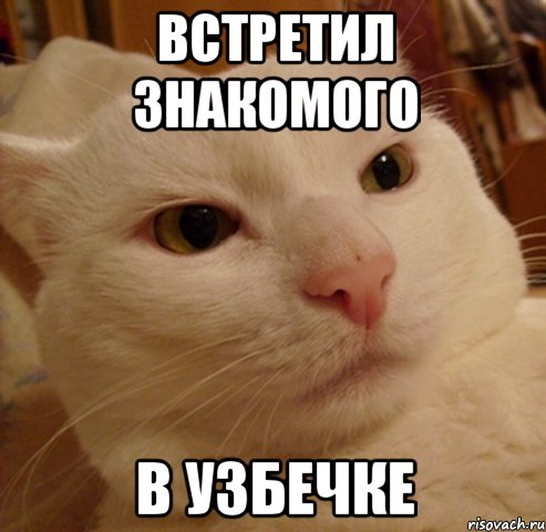 встретил знакомого в узбечке, Мем Дерзкий котэ