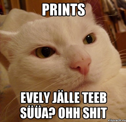 Prints Evely jälle teeb süüa? OHH SHIT, Мем Дерзкий котэ