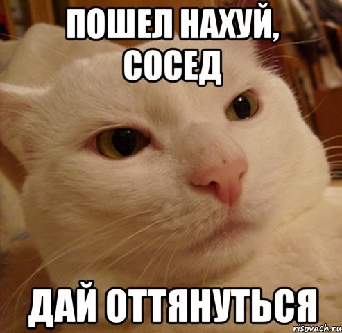 пошел нахуй, сосед дай оттянуться, Мем Дерзкий котэ