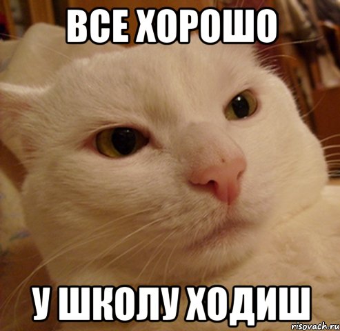все хорошо у школу ходиш, Мем Дерзкий котэ