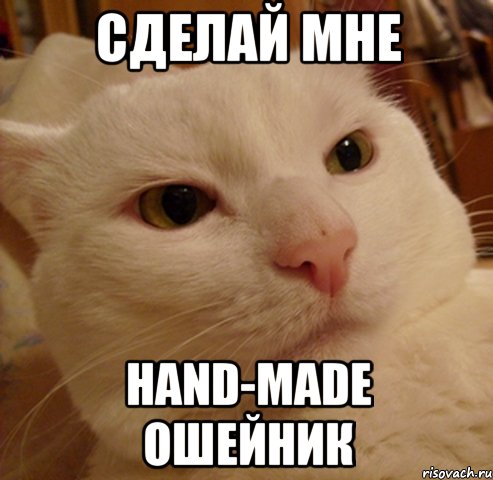 сделай мне hand-made ошейник, Мем Дерзкий котэ