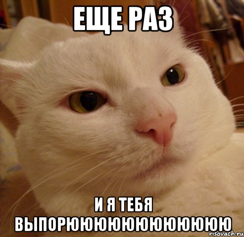 еще раз и я тебя выпорюююююююююююю, Мем Дерзкий котэ