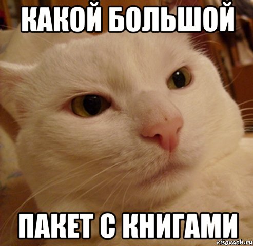 какой большой пакет с книгами, Мем Дерзкий котэ