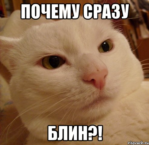 почему сразу блин?!, Мем Дерзкий котэ