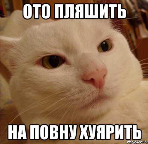 ото пляшить на повну хуярить, Мем Дерзкий котэ