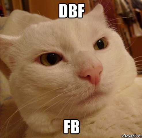 dbf fb, Мем Дерзкий котэ