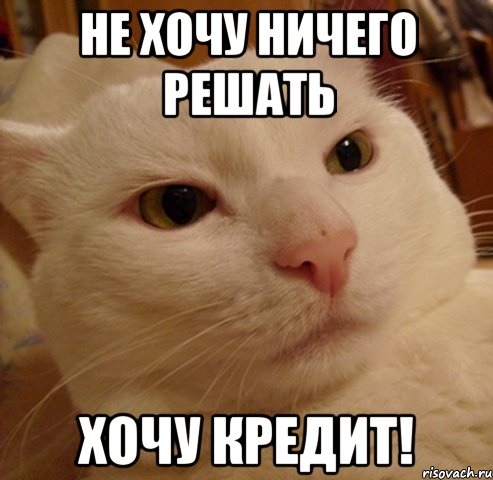 НЕ ХОЧУ НИЧЕГО РЕШАТЬ ХОЧУ КРЕДИТ!, Мем Дерзкий котэ